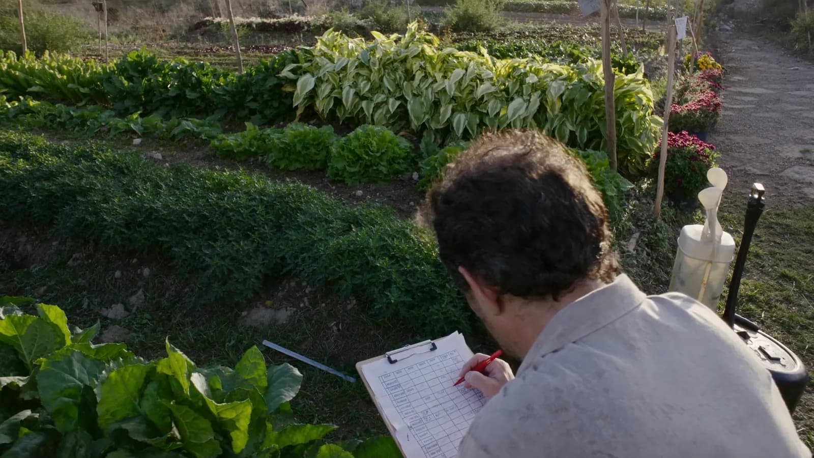 Cómo se planifica un huerto cuando el cliente decide qué cultivar